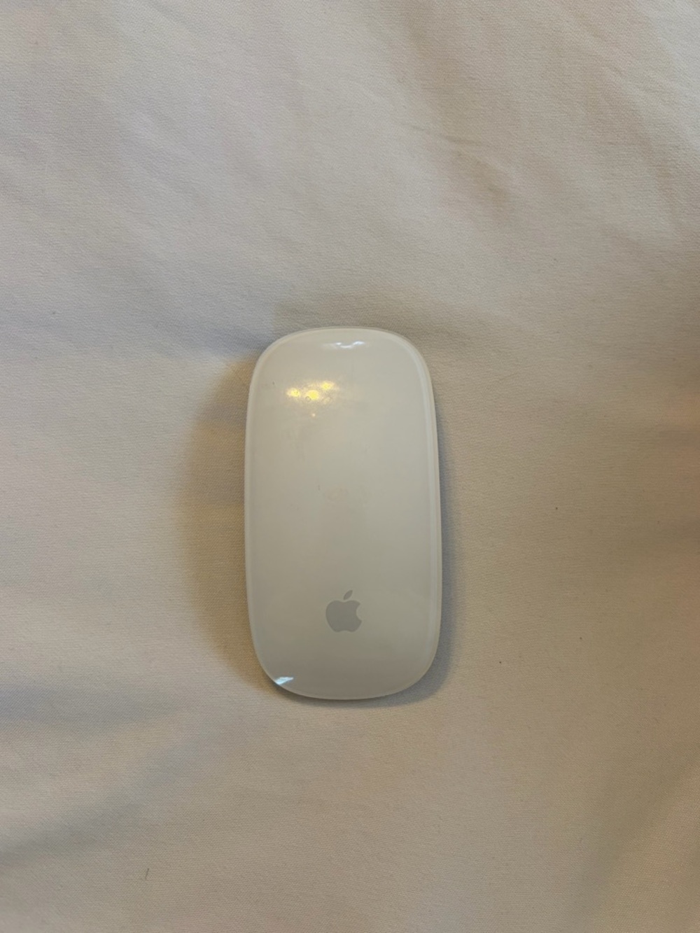 Apple Magic Wireless Mouse